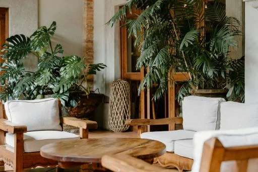 Relaxed tropical living space